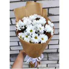 Белые ромашки